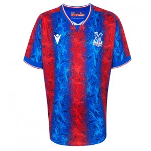 Crystal Palace Domaci Dres 2024-25 Kratak Rukavima